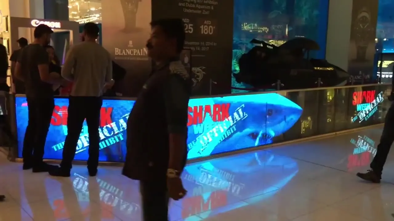 Transparent LED Screen Barrier — Dubai Aquarium