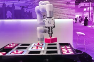 Crowd Games in dubai